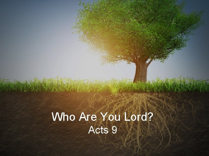 Who Are You Lord? Acts 9 