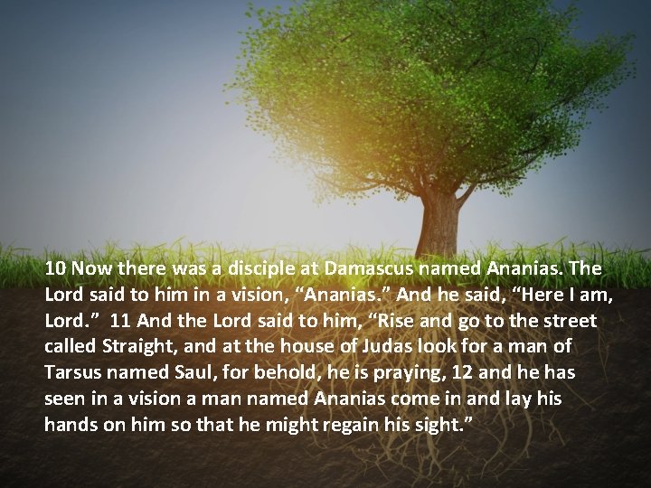 10 Now there was a disciple at Damascus named Ananias. The Lord said to