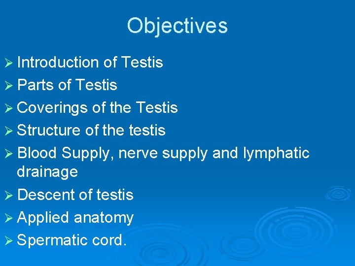 Objectives Ø Introduction of Testis Ø Parts of Testis Ø Coverings of the Testis