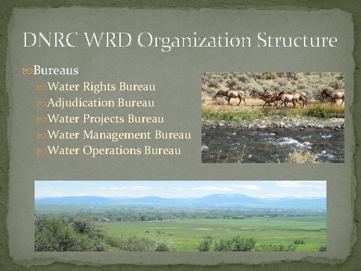 DNRC WRD Organization Structure Bureaus Water Rights Bureau Adjudication Bureau Water Projects Bureau Water