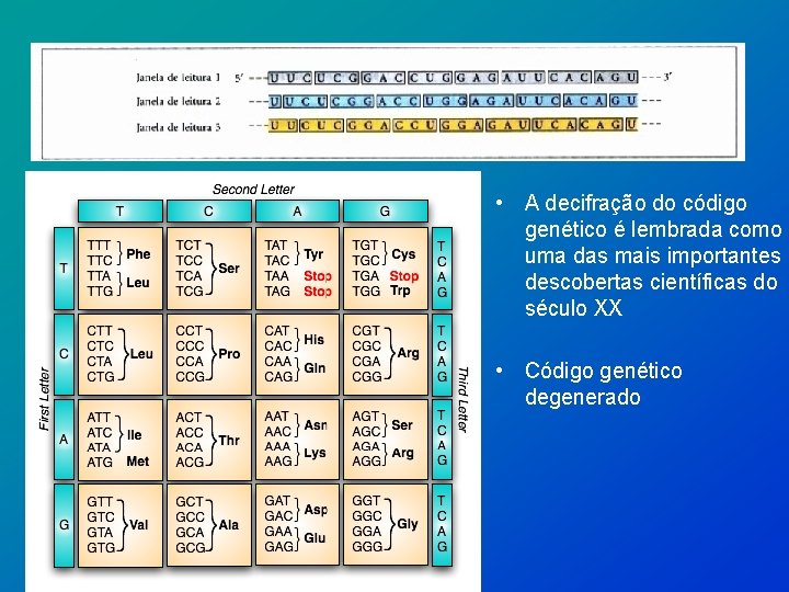  • A decifração do código genético é lembrada como uma das mais importantes