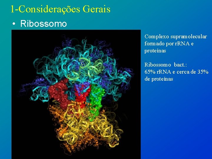 1 -Considerações Gerais • Ribossomo Complexo supramolecular formado por r. RNA e proteínas Ribossomo