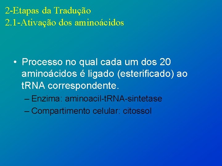 2 -Etapas da Tradução 2. 1 -Ativação dos aminoácidos • Processo no qual cada