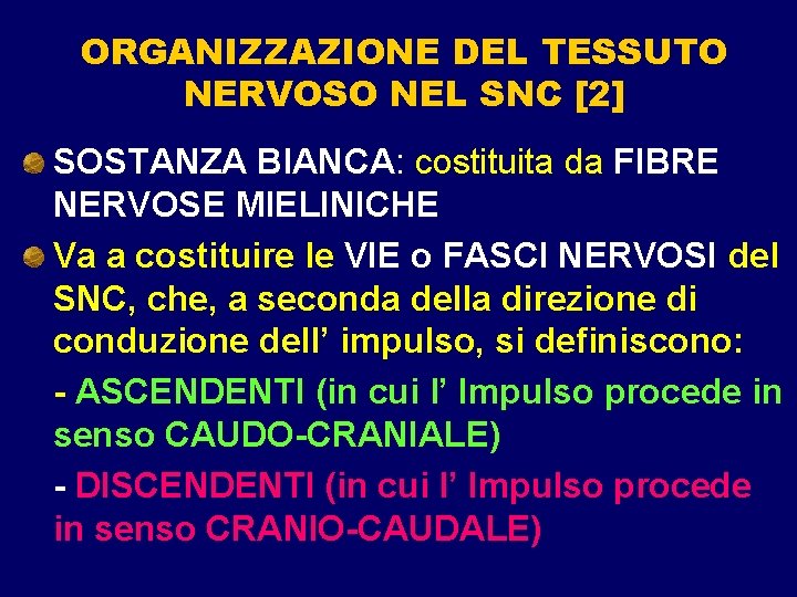 ORGANIZZAZIONE DEL TESSUTO NERVOSO NEL SNC [2] SOSTANZA BIANCA: costituita da FIBRE NERVOSE MIELINICHE