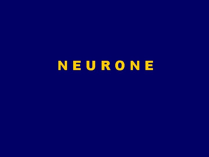 NEURONE NEURONE