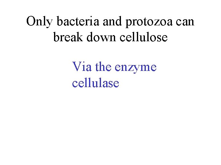 Only bacteria and protozoa can break down cellulose Via the enzyme cellulase 
