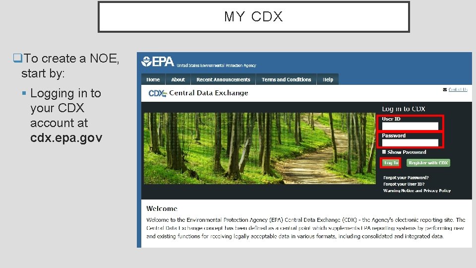 MY CDX q. To create a NOE, start by: § Logging in to your