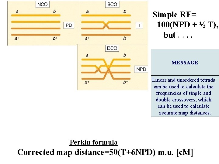 Simple RF= 100(NPD + ½ T), but. . MESSAGE Linear and unordered tetrads can