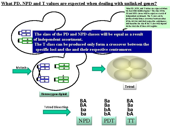 What PD, NPD and T values are expected when dealing with unlinked genes? What