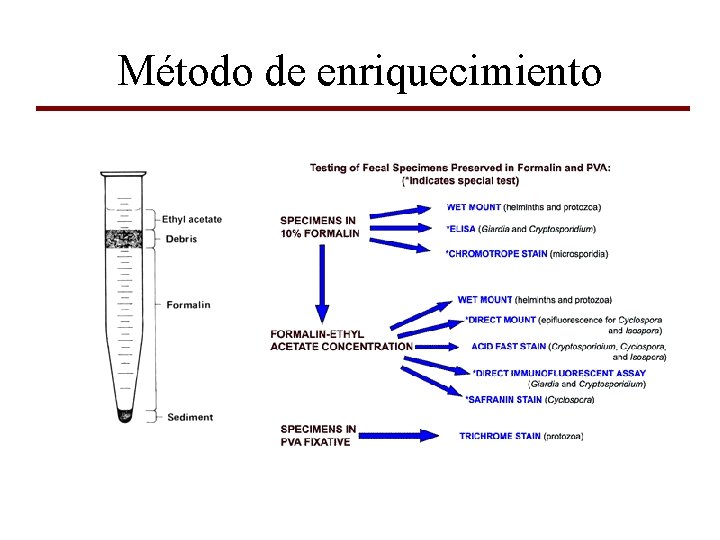 Método de enriquecimiento 