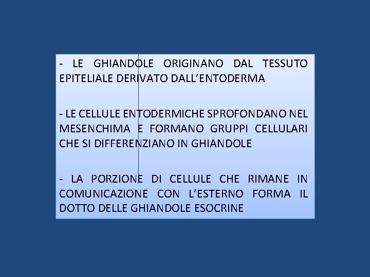 - LE GHIANDOLE ORIGINANO DAL TESSUTO EPITELIALE DERIVATO DALL’ENTODERMA - LE CELLULE ENTODERMICHE SPROFONDANO
