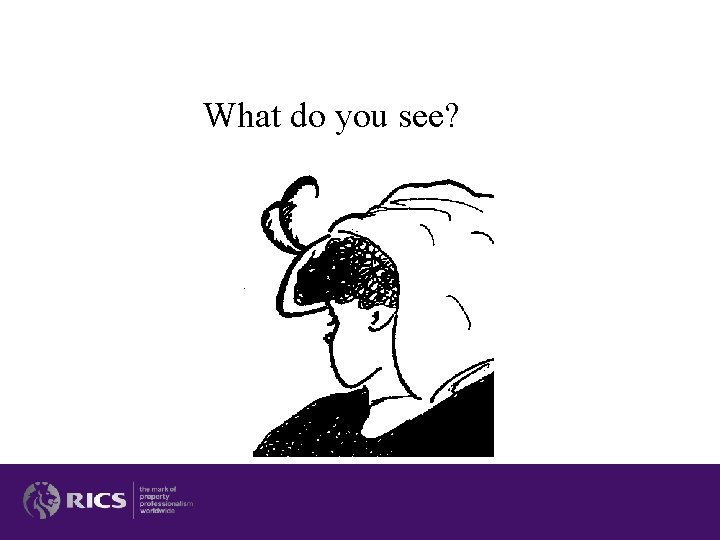 What do you see? What do you see?