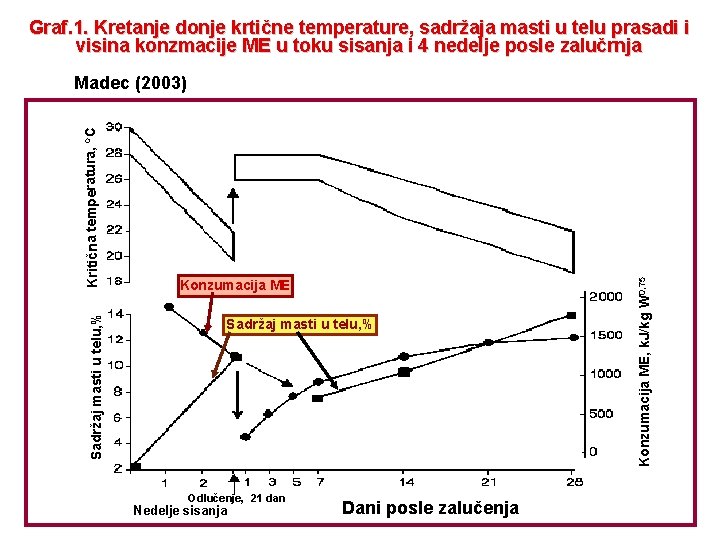 Graf. 1. Kretanje donje krtične temperature, sadržaja masti u telu prasadi i visina konzmacije