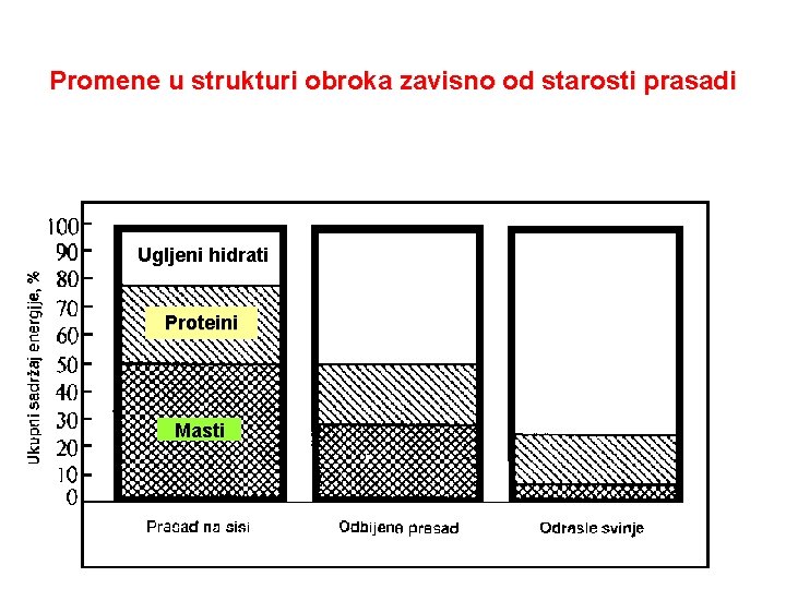 Promene u strukturi obroka zavisno od starosti prasadi Ugljeni hidrati Proteini Masti Promene u strukturi obroka zavisno od starosti prasadi Ugljeni hidrati Proteini Masti
