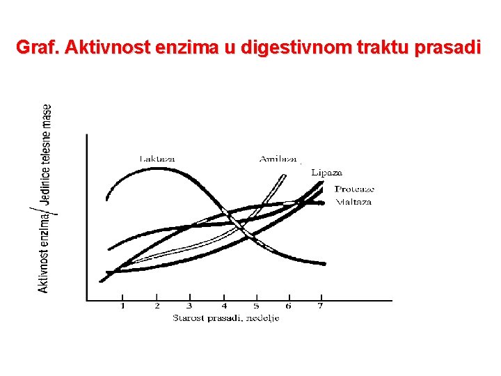 Graf. Aktivnost enzima u digestivnom traktu prasadi 