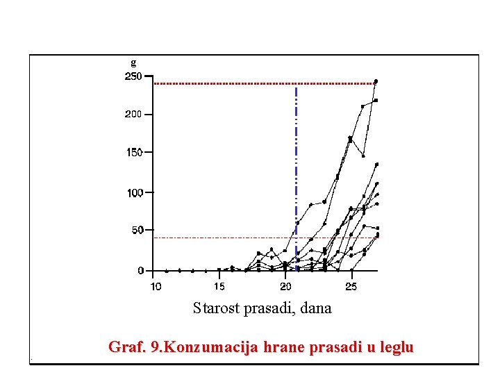 g Starost prasadi, dana Graf. 9. Konzumacija hrane prasadi u leglu g Starost prasadi, dana Graf. 9. Konzumacija hrane prasadi u leglu