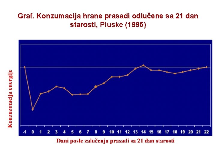 Graf. Konzumacija hrane prasadi odlučene sa 21 dan starosti, Pluske (1995) 