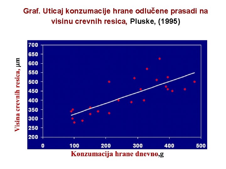 Graf. Uticaj konzumacije hrane odlučene prasadi na visinu crevnih resica, Pluske, (1995) 