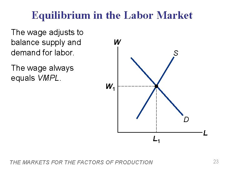 Equilibrium in the Labor Market The wage adjusts to balance supply and demand for
