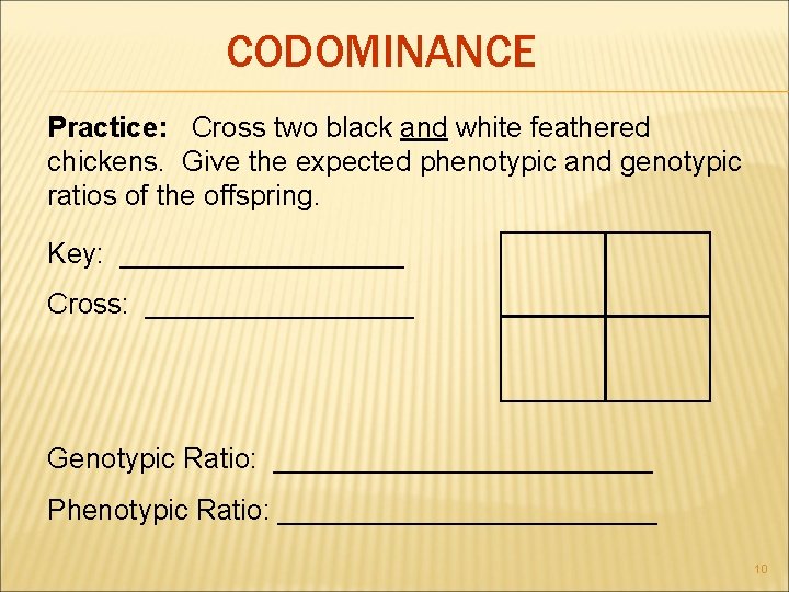 CODOMINANCE Practice: Cross two black and white feathered chickens. Give the expected phenotypic and