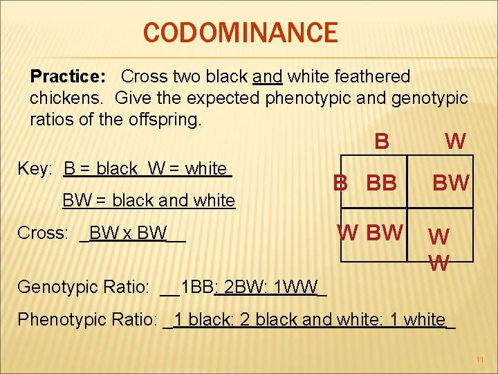 CODOMINANCE Practice: Cross two black and white feathered chickens. Give the expected phenotypic and