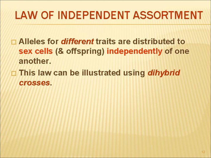 LAW OF INDEPENDENT ASSORTMENT Alleles for different traits are distributed to sex cells (&