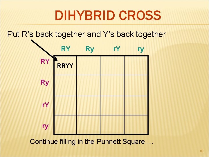 DIHYBRID CROSS Put R’s back together and Y’s back together RY RY Ry r.