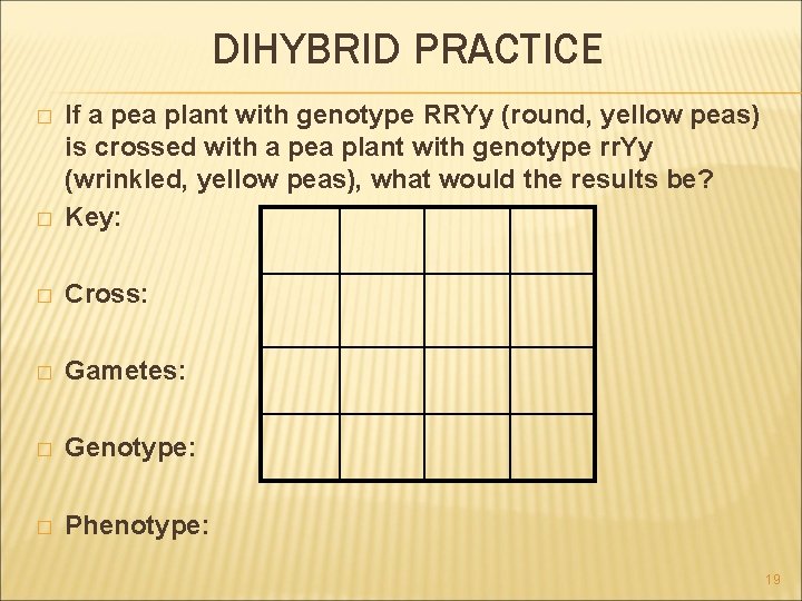 DIHYBRID PRACTICE � If a pea plant with genotype RRYy (round, yellow peas) is