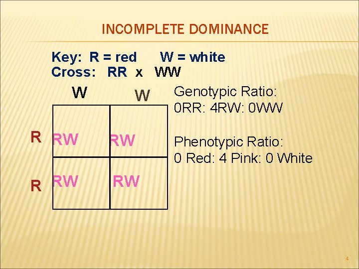 INCOMPLETE DOMINANCE Key: R = red W = white Cross: RR x WW Genotypic