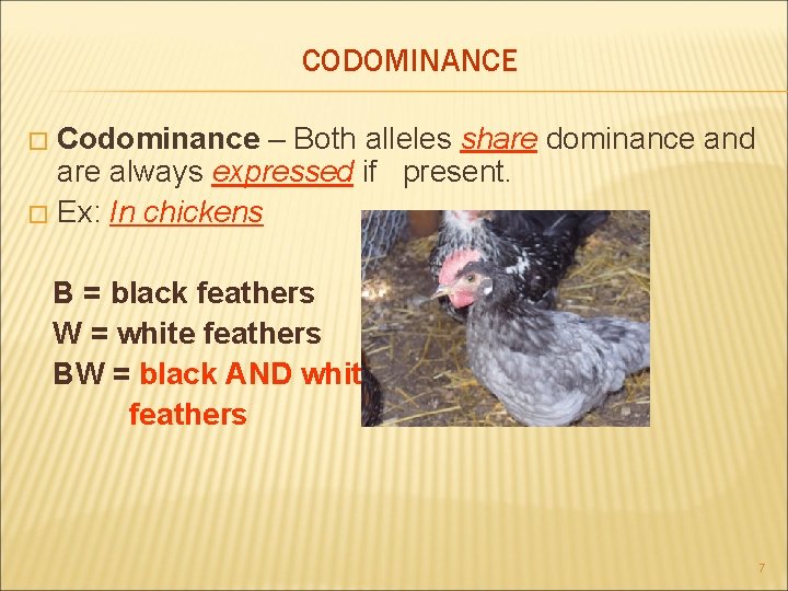 CODOMINANCE Codominance – Both alleles share dominance and are always expressed if present. �
