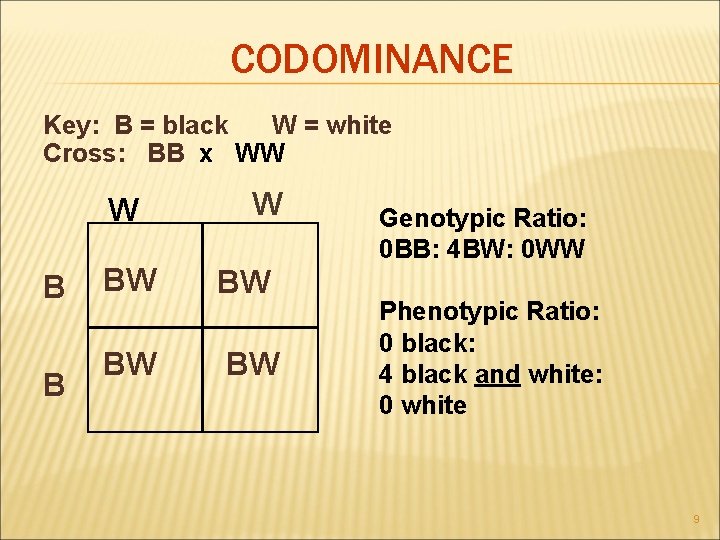 CODOMINANCE Key: B = black W = white Cross: BB x WW W B