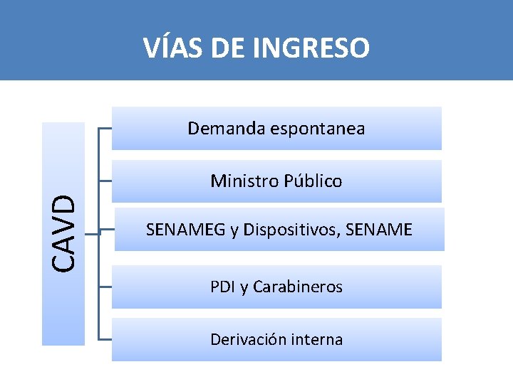 VÍAS DE INGRESO Demanda espontanea CAVD Ministro Público SENAMEG y Dispositivos, SENAME PDI y