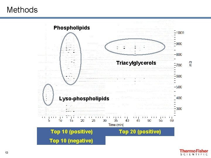 Methods Phospholipids Triacylglycerols Lyso-phospholipids Top 10 (positive) Top 10 (negative) 13 Top 20 (positive) Methods Phospholipids Triacylglycerols Lyso-phospholipids Top 10 (positive) Top 10 (negative) 13 Top 20 (positive)
