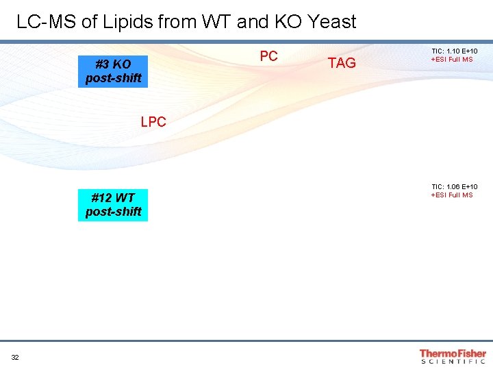 LC-MS of Lipids from WT and KO Yeast #3 KO post-shift PC TAG TIC: LC-MS of Lipids from WT and KO Yeast #3 KO post-shift PC TAG TIC: