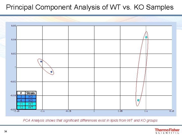 Principal Component Analysis of WT vs. KO Samples # 3 4 11 12 Strain Principal Component Analysis of WT vs. KO Samples # 3 4 11 12 Strain