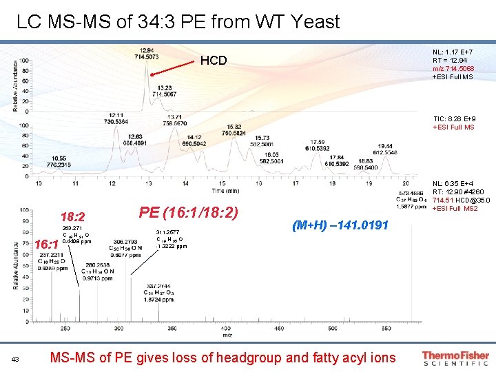 LC MS-MS of 34: 3 PE from WT Yeast NL: 1. 17 E+7 RT LC MS-MS of 34: 3 PE from WT Yeast NL: 1. 17 E+7 RT