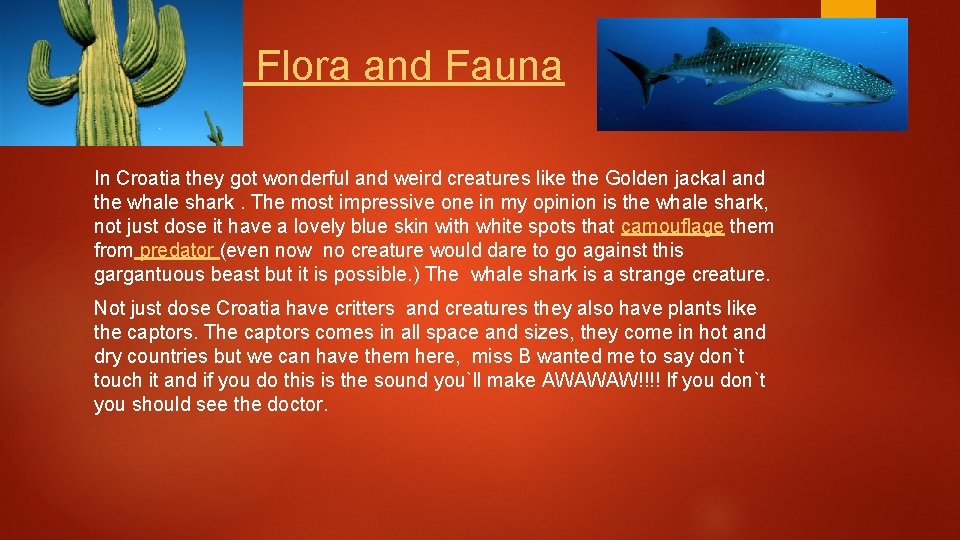 Flora and Fauna In Croatia they got wonderful and weird creatures like the Golden