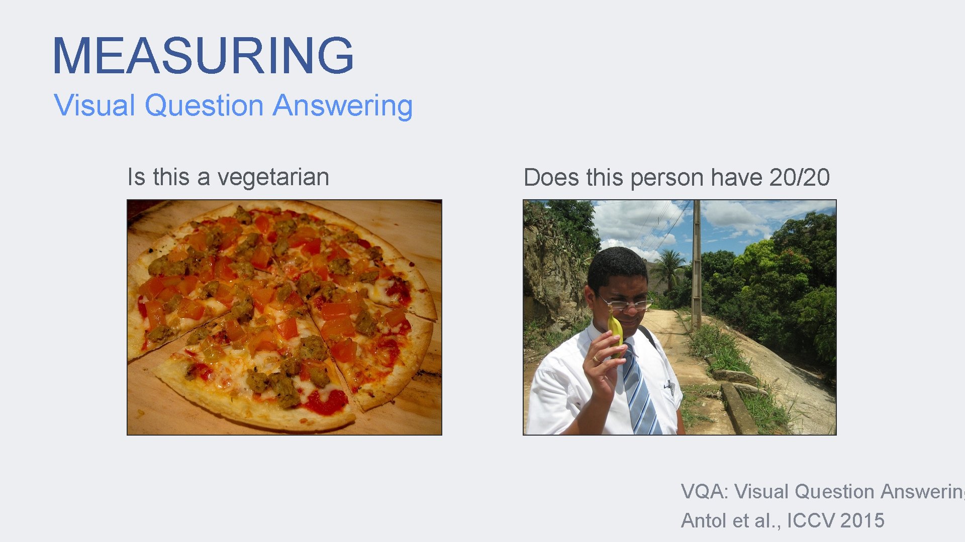 MEASURING Visual Question Answering Is this a vegetarian pizza? Does this person have 20/20