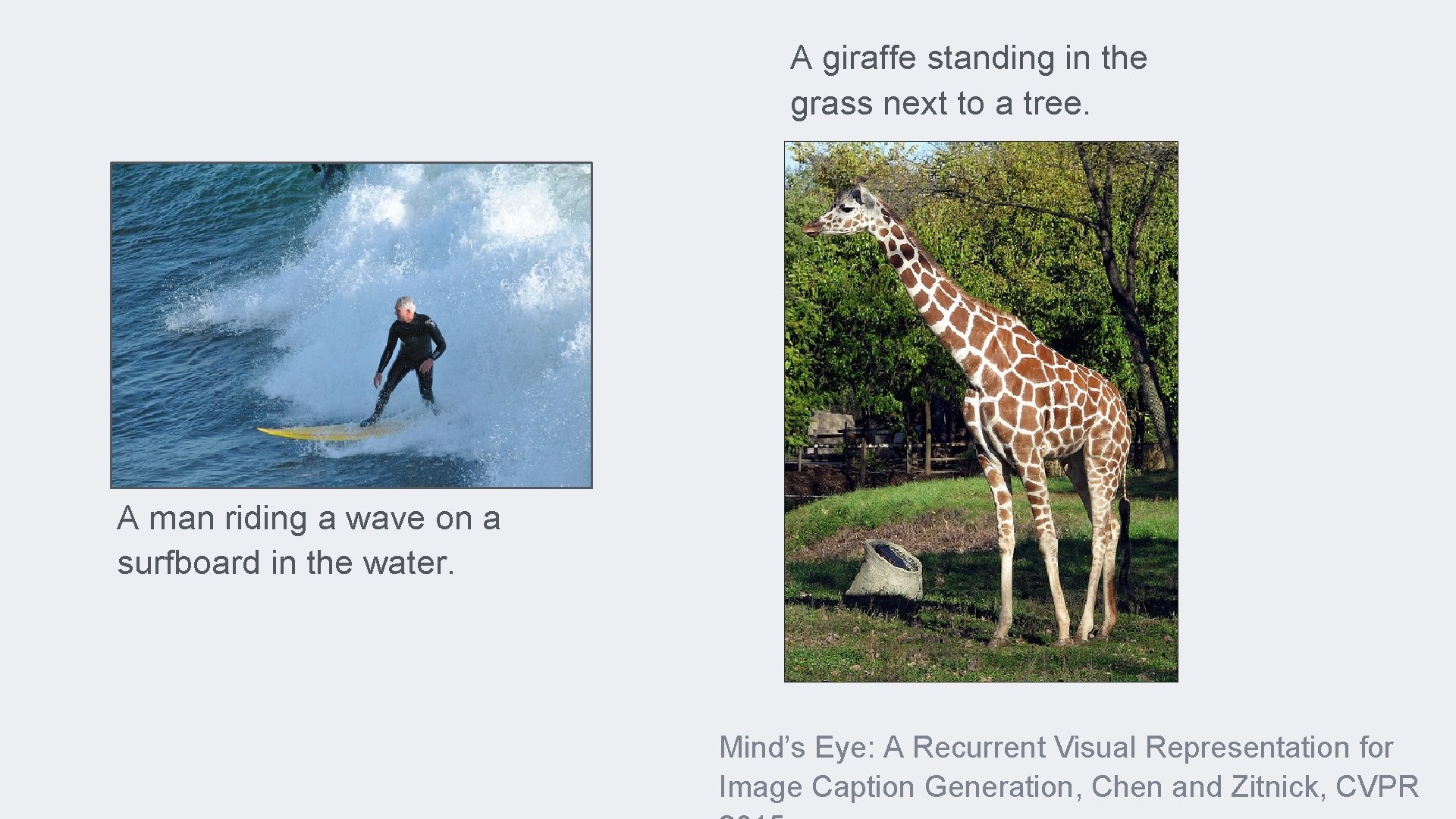 A giraffe standing in the grass next to a tree. A man riding a