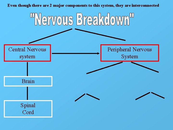 Even though there are 2 major components to this system, they are interconnected Central