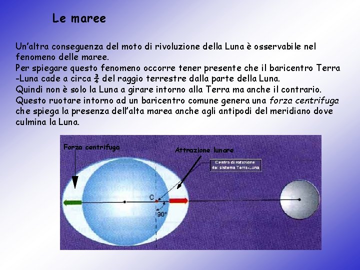 Le maree Un’altra conseguenza del moto di rivoluzione della Luna è osservabile nel fenomeno