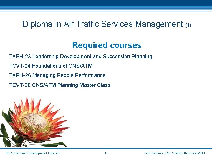Diploma in Air Traffic Services Management (1) Required courses TAPH-23 Leadership Development and Succession