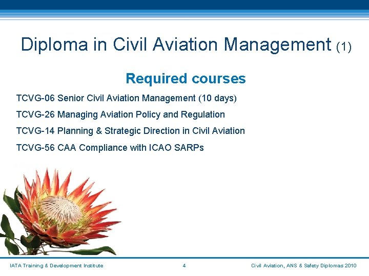 Diploma in Civil Aviation Management (1) Required courses TCVG-06 Senior Civil Aviation Management (10