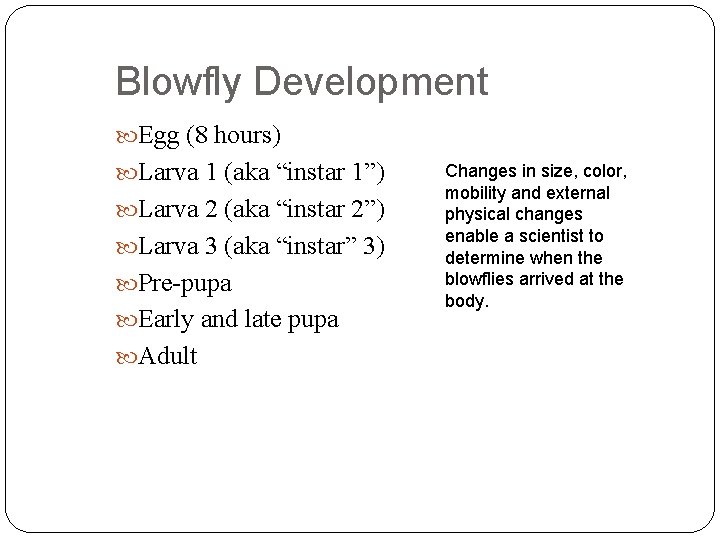 Blowfly Development Egg (8 hours) Larva 1 (aka “instar 1”) Larva 2 (aka “instar