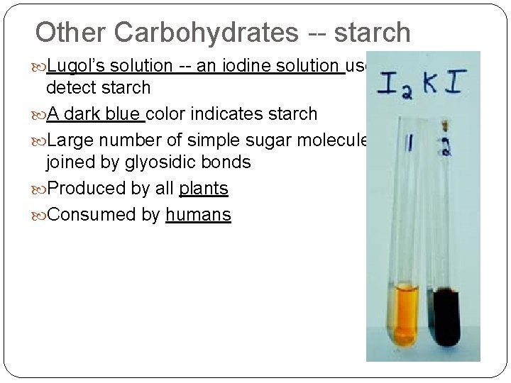 Other Carbohydrates -- starch Lugol’s solution -- an iodine solution used to detect starch Other Carbohydrates -- starch Lugol’s solution -- an iodine solution used to detect starch