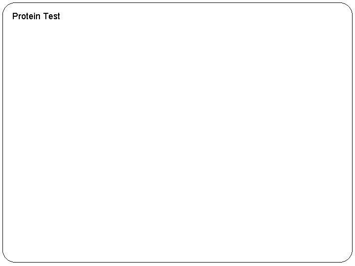 Protein Test 