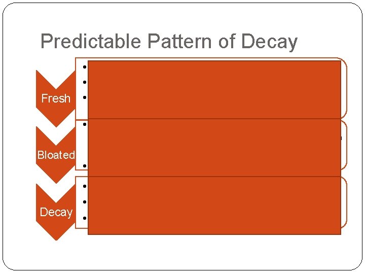 Predictable Pattern of Decay • Body is intact, decay inside body • Lasts until