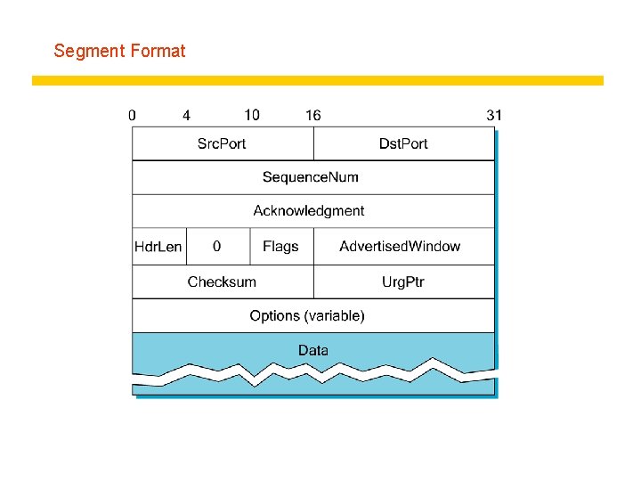 Segment Format 