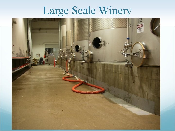 Large Scale Winery 