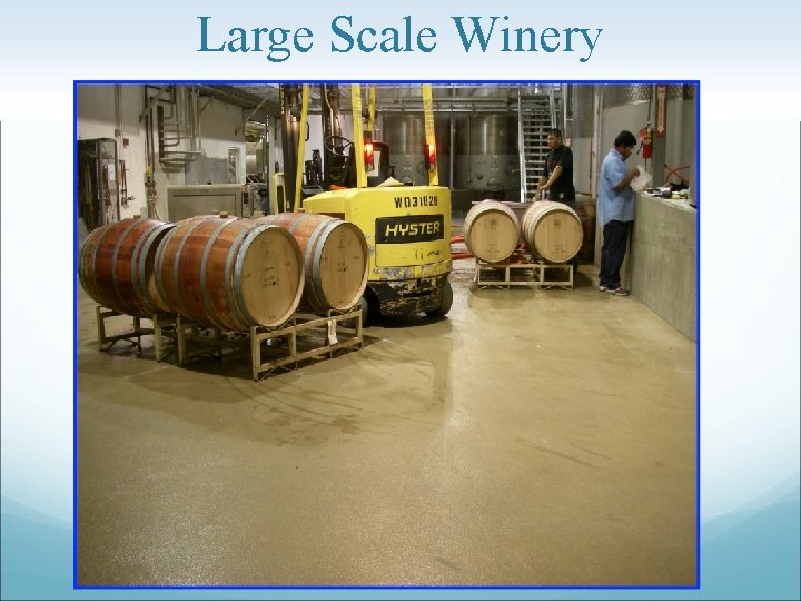 Large Scale Winery 